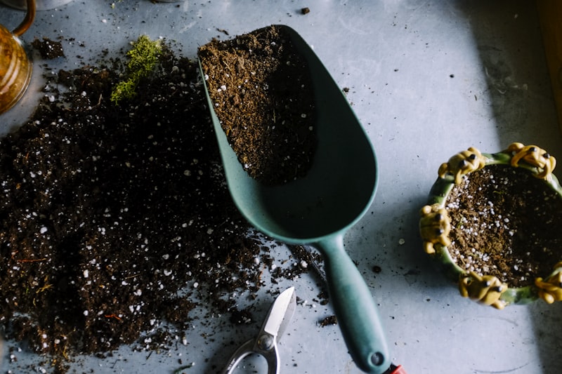 Balcony Herb Gardening: Growing Culinary Greens in Small Footprints
