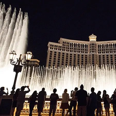 Viator Tour Types and Activity Experiences Compared